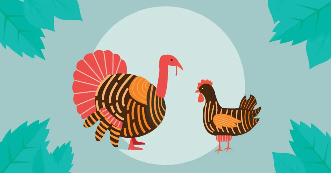 What is healthier, chicken or turkey?